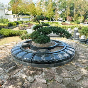 普陀山易德园花坛葬
