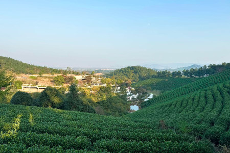 安吉龙山源景观图