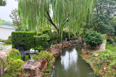 上海市青浦区福寿园园区湖景图