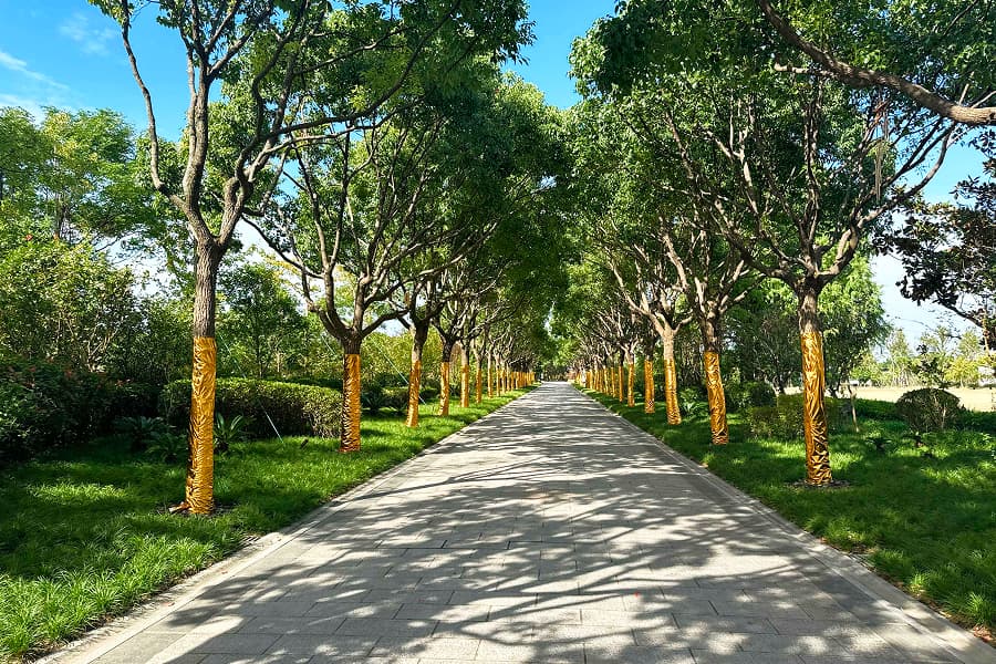上海市奉贤区滨海古园园区环境图
