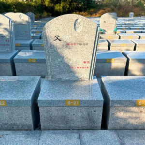 上海市金山区松隐山庄传统立碑墓型1号