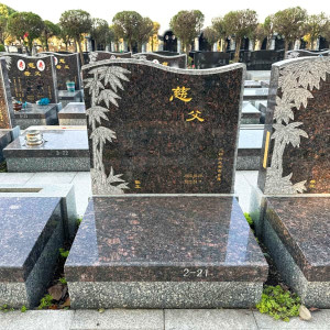 上海市金山区松隐山庄传统立碑墓型6号