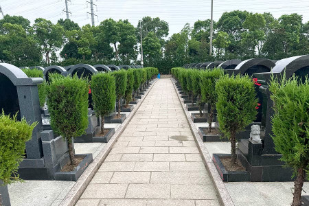 上海市松江区华夏公墓墓区环境图