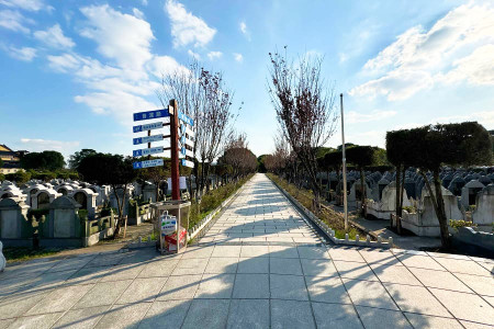 上海市金山区松隐山庄墓区环境图