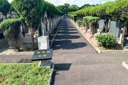 上海市青浦区九天陵园墓区环境图