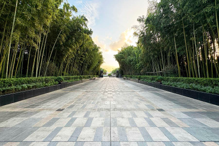 清竹园景观图