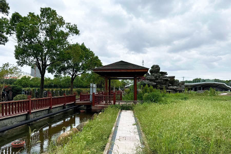 上海市浦东新区天逸静园玫瑰园墓区环境图