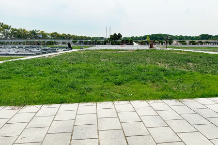 上海市松江区华夏公墓园区环境图